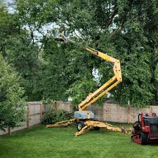 Leaf Removal in Orlinda, TN